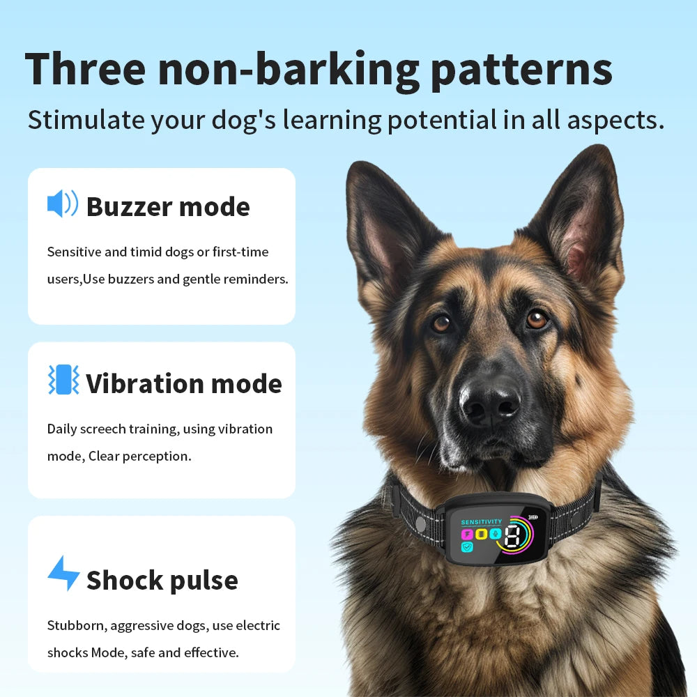 e6cffe63c2d2d0e04efd0c94a52d2ce